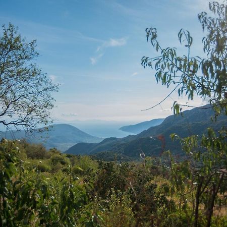 Cottage Hill Agios Ilias  外观 照片
